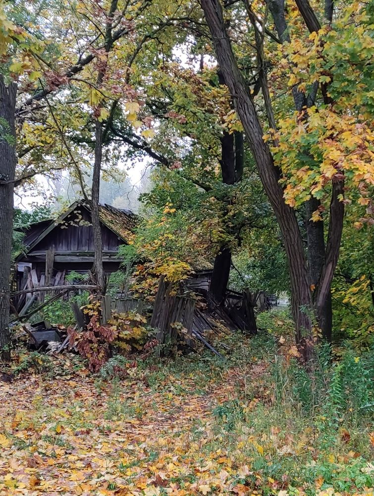 Photograph by Ольга Бондаренко