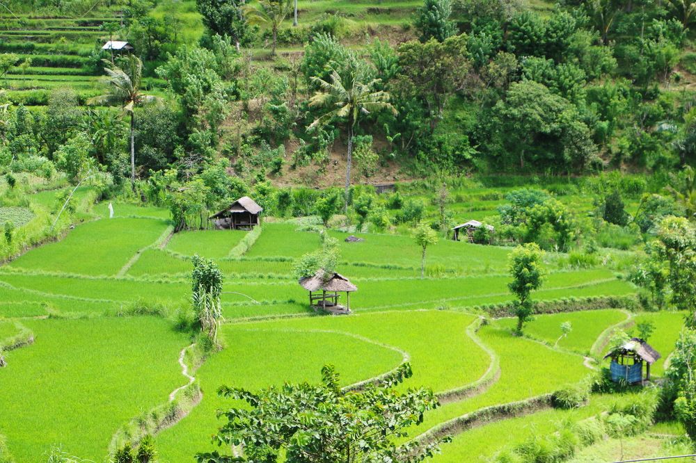 Photograph by Tatiana Serova