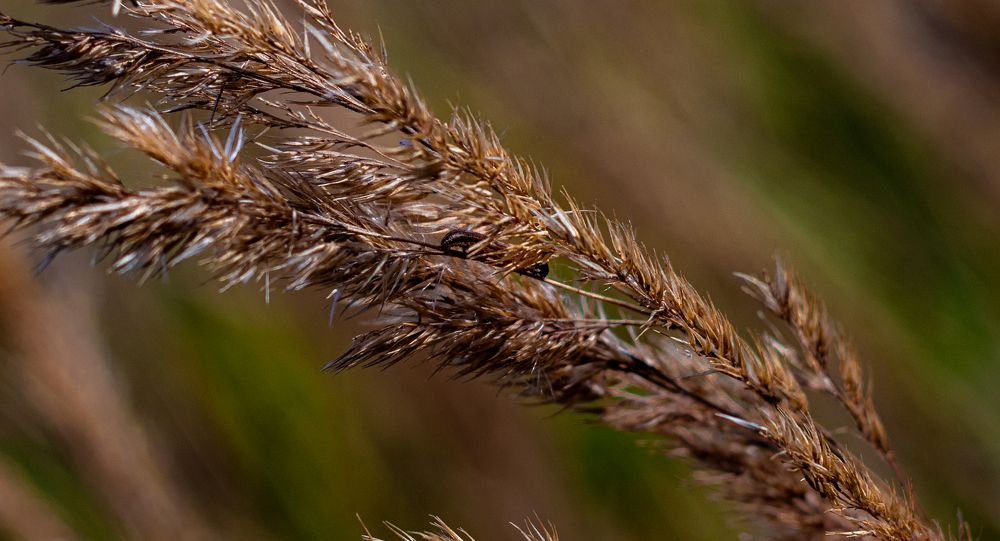 Photograph by Сергей Аникушин