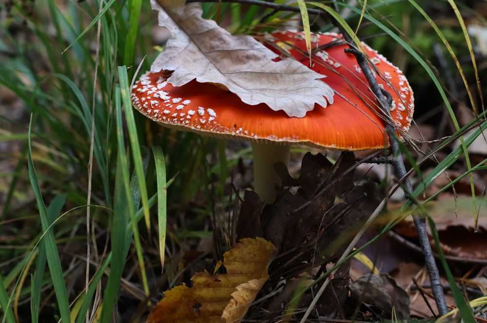 Photograph by Татьяна