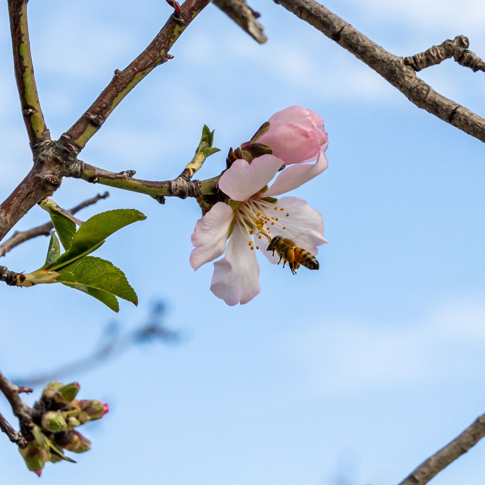 Photograph by Игорь Калинин