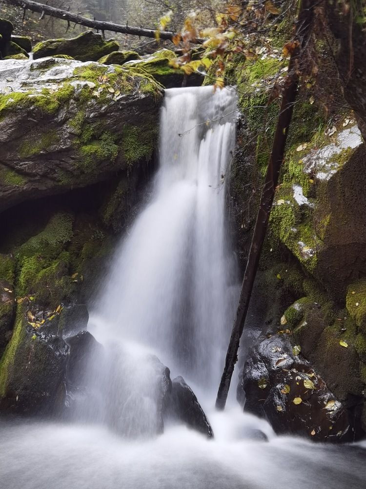 Photograph by Светлана