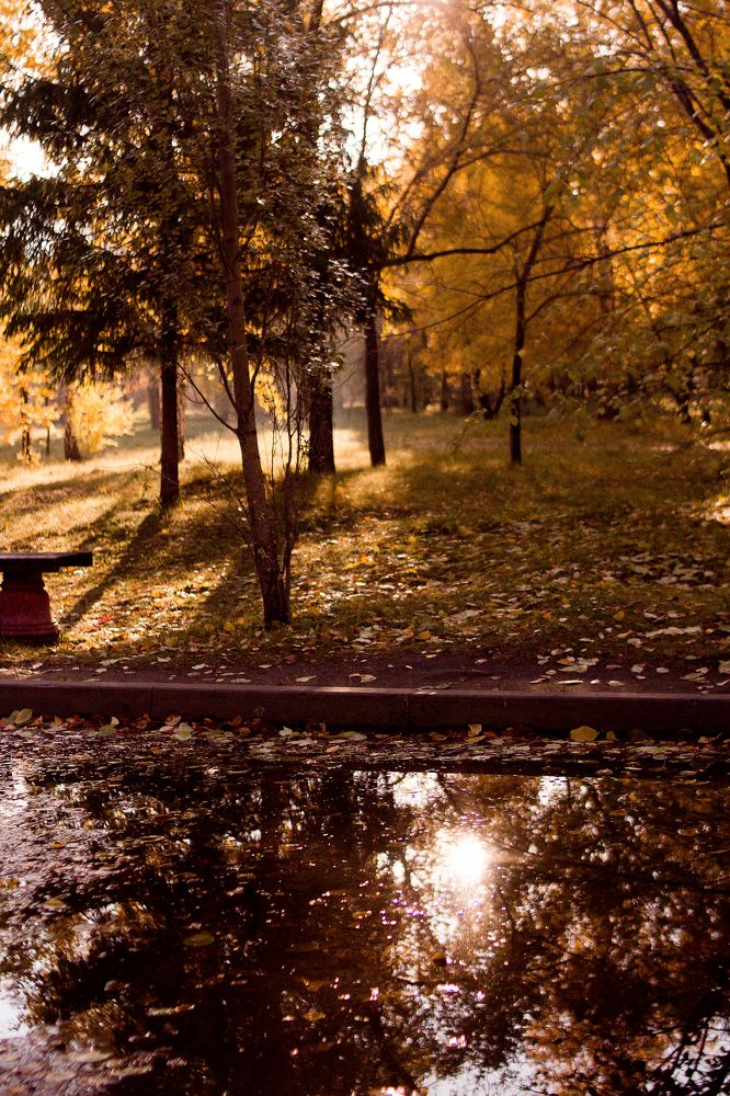 Photograph by Наталья Кузнецова