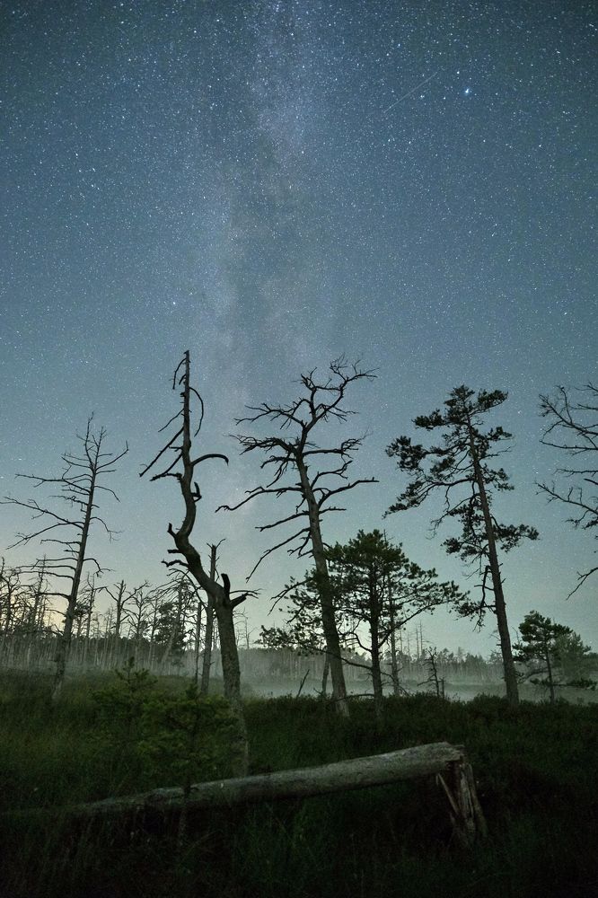 Milky Way / Latvia 08.2022