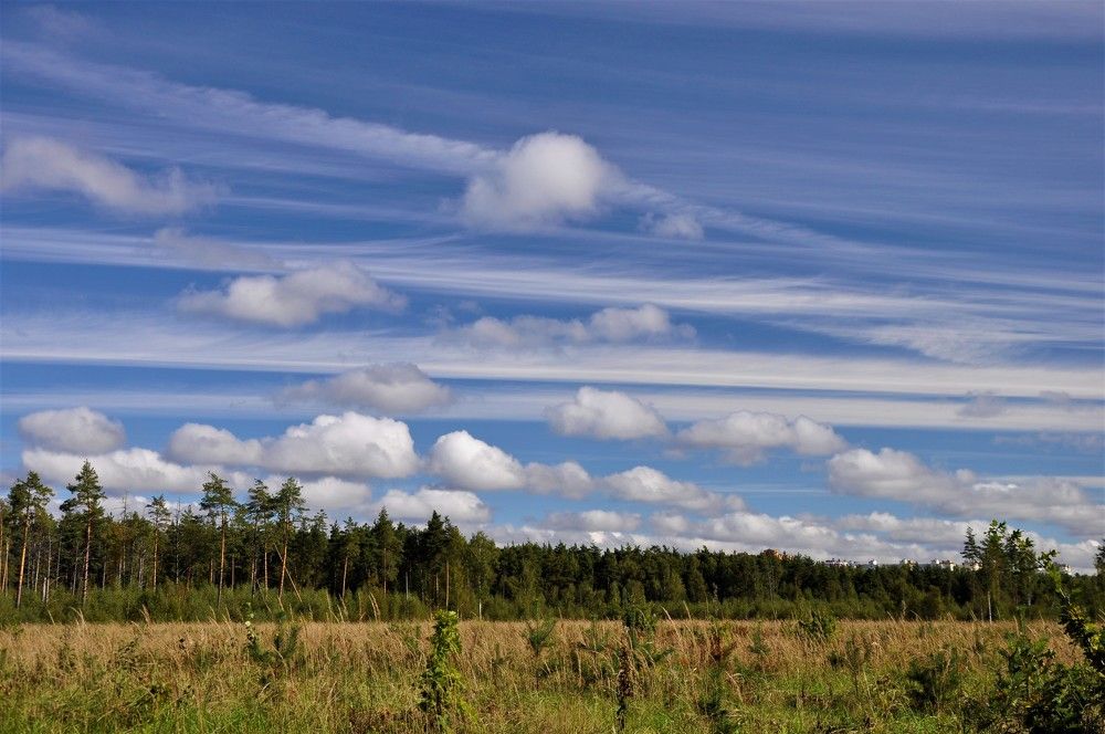 Photograph by Ольга Струкалина