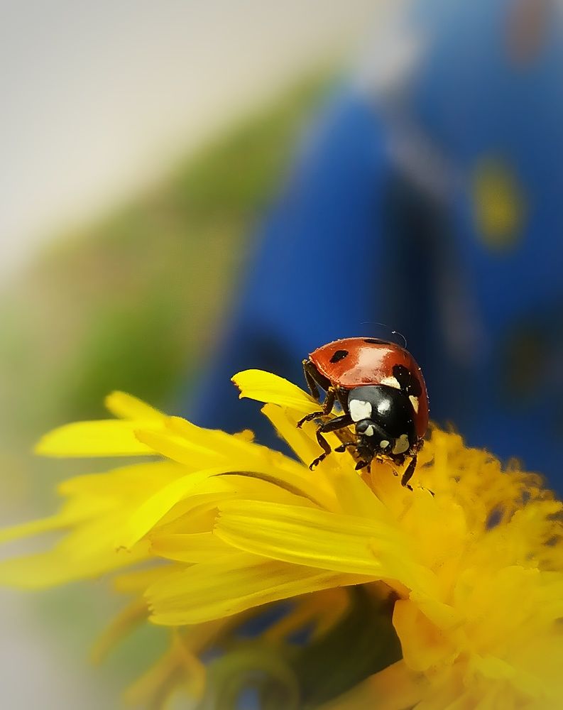 Photograph by 