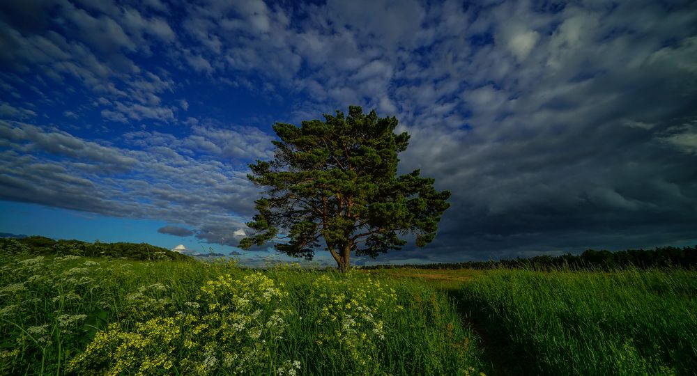 Photograph by Юрий Гаврилов