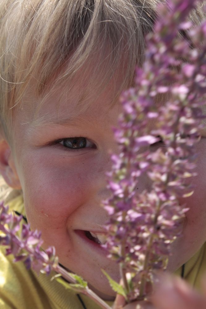 Photograph by Натали ДанКо