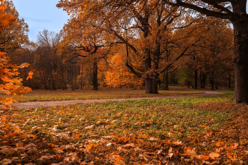 Фотография автора Wolf Adrian