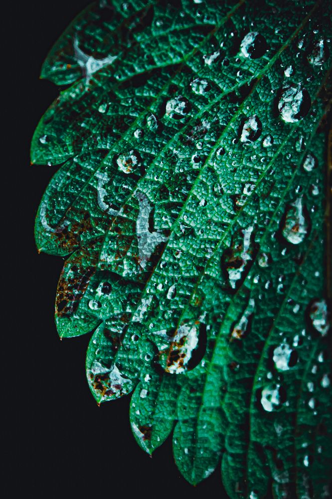 Photograph by Татьяна Слободчикова