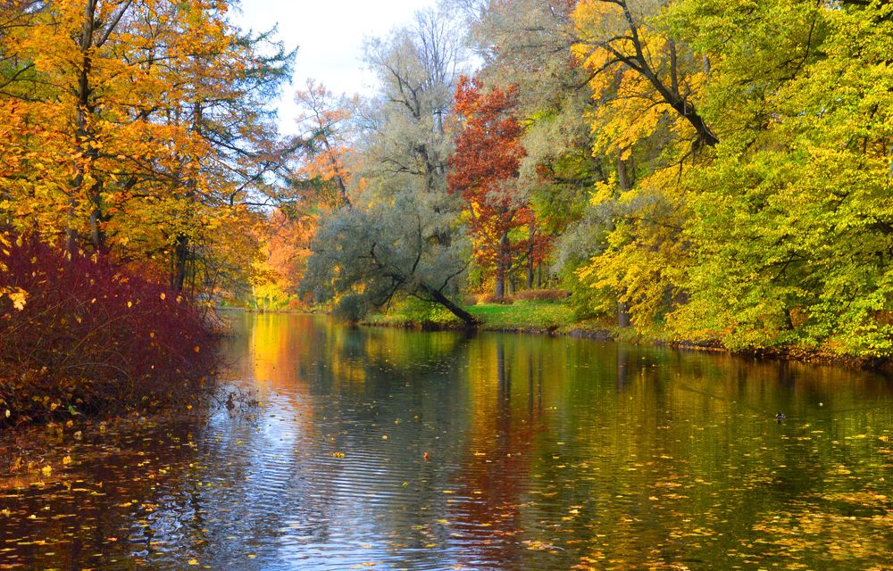 Photograph by Светлана Муравьева