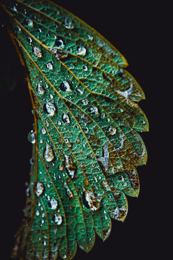 Photograph by Татьяна Слободчикова