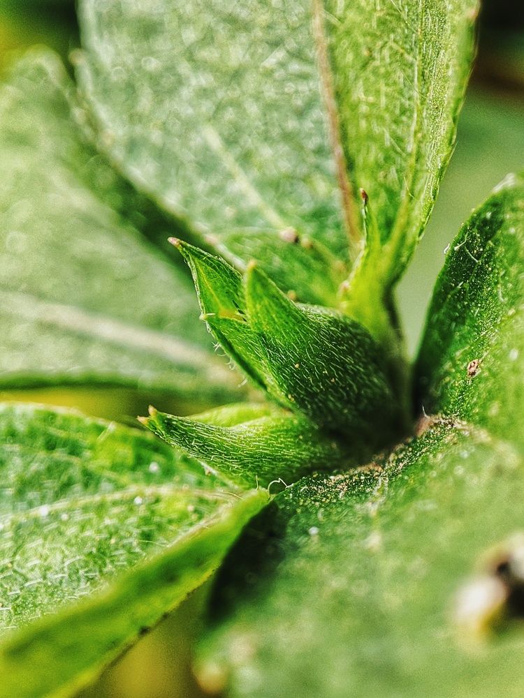 Photograph by Meilany Wijaya