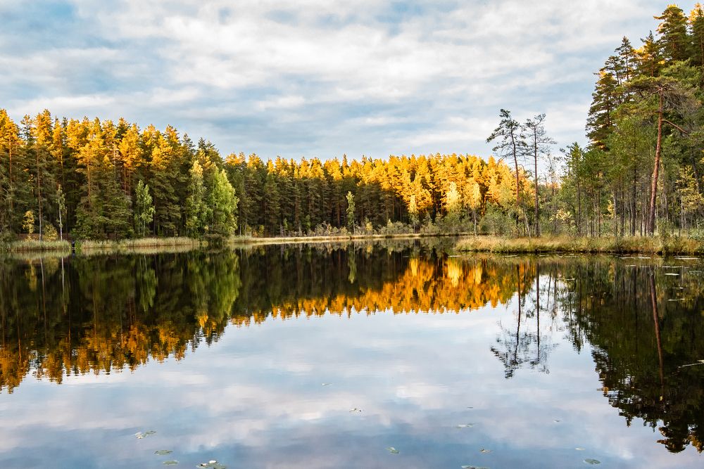 Photograph by Александр Щербаков