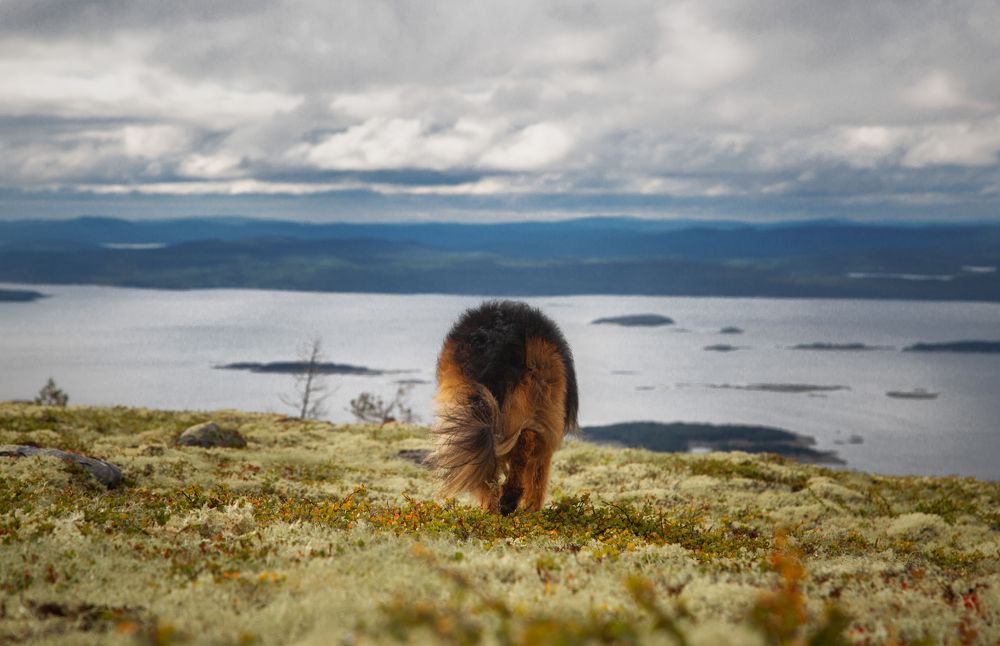Photograph by Юлия Михайлова
