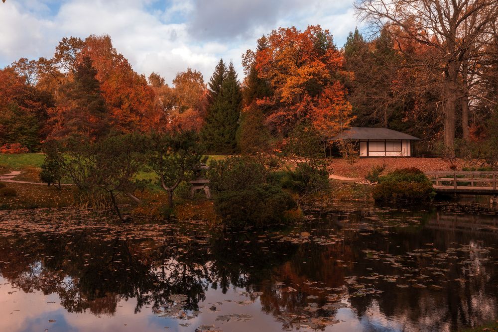 Фотография автора Wolf Adrian