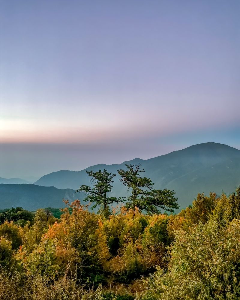 Фотография автора Mohamad reza Mohamad abadi