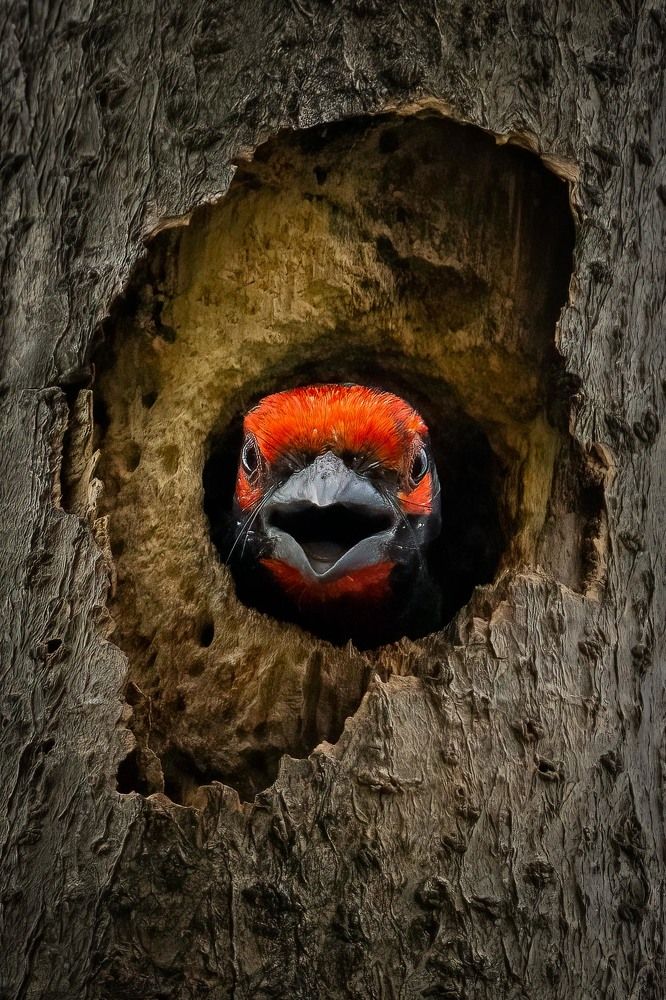 Photograph by Tyson Majin