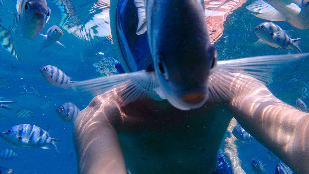 Photograph by Иван Соловьёв