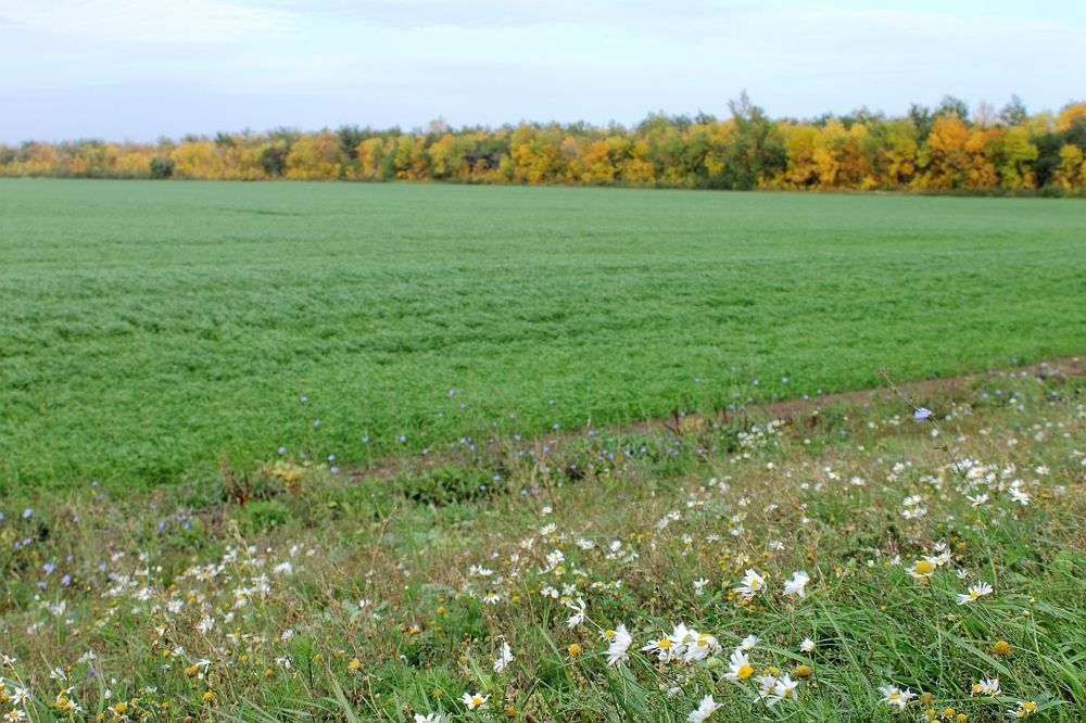 Photograph by Юрий Варюхин
