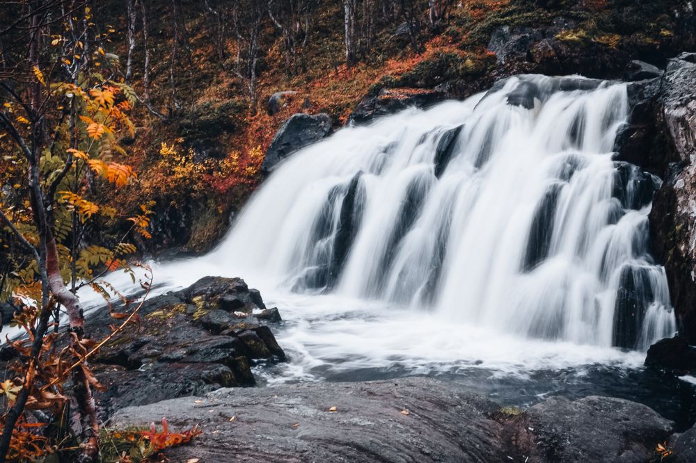 Фотография автора Андрей Русских