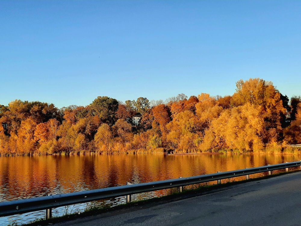 Photograph by Елена Симонова