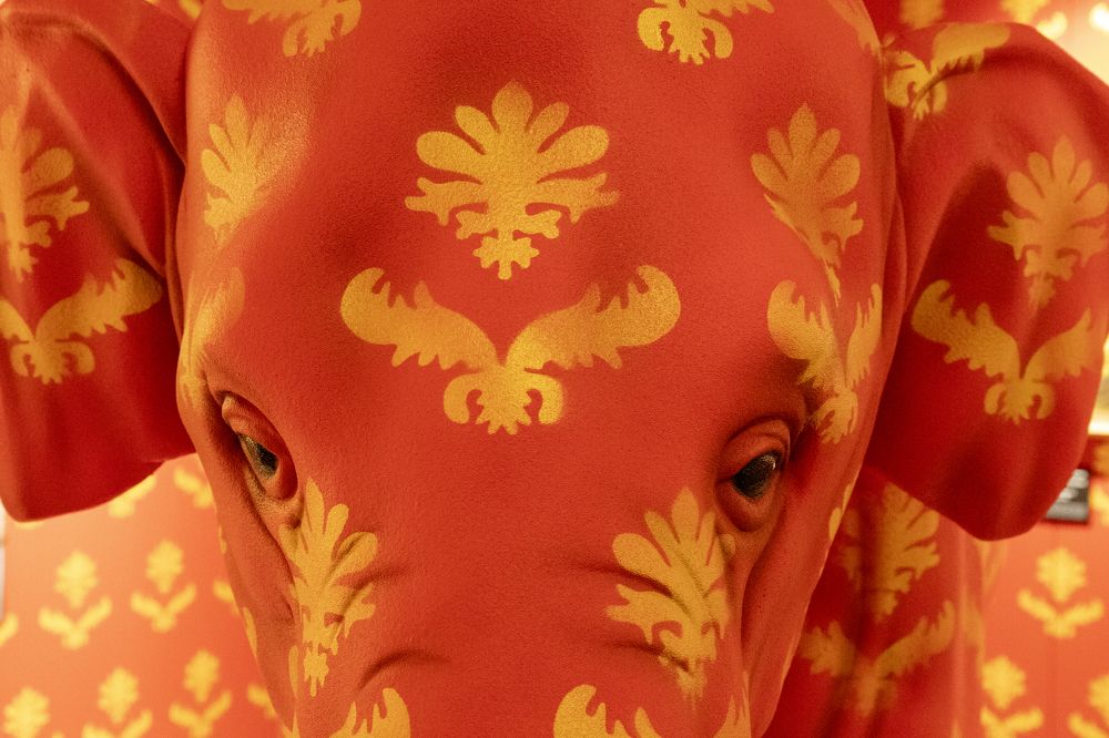 Photograph by Иван Соловьёв