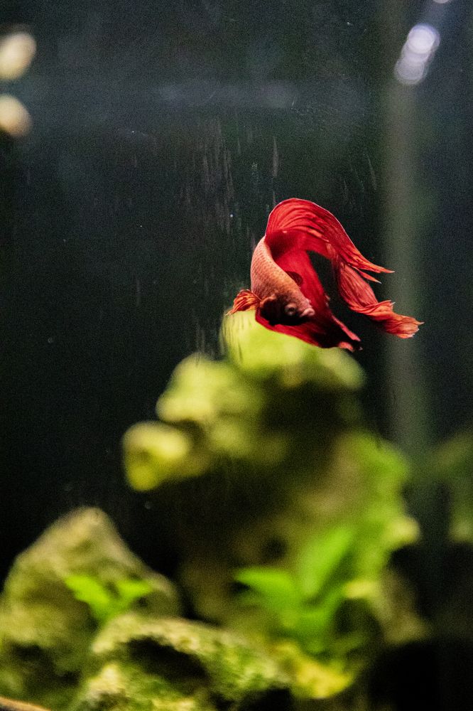 Photograph by Иван Соловьёв