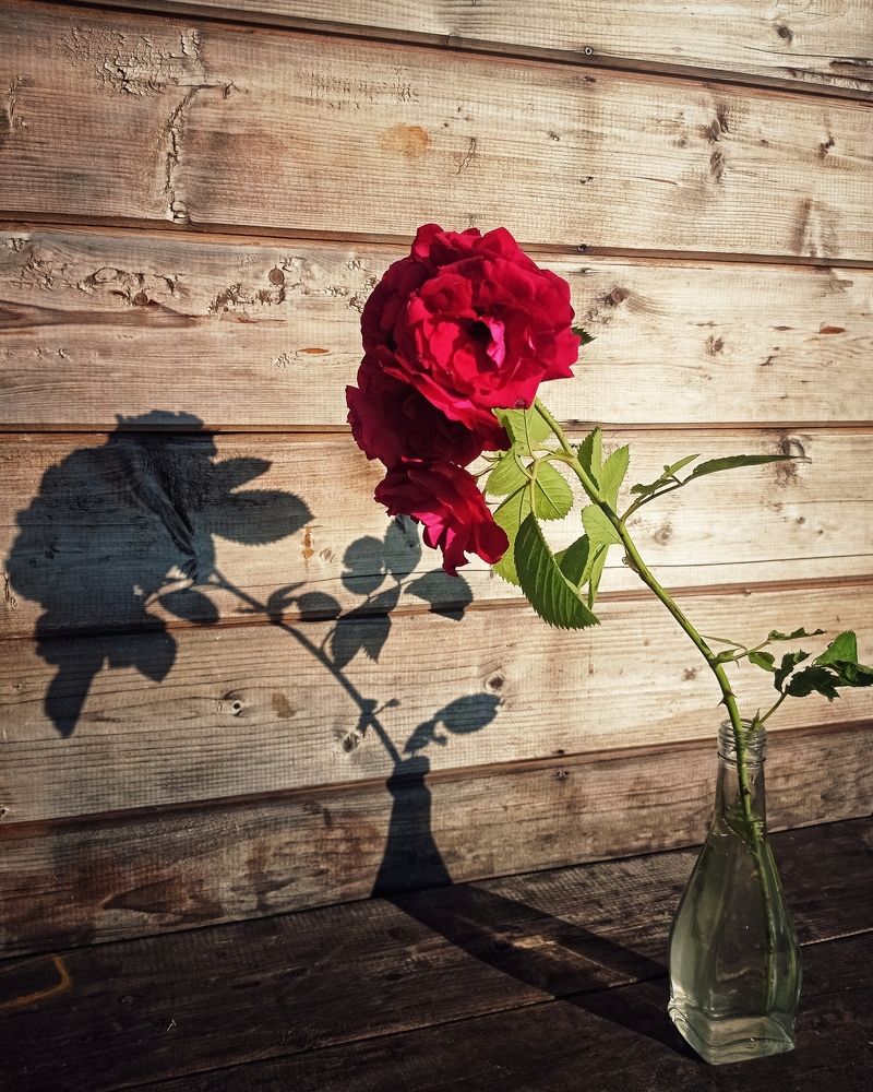 Photograph by Ольга Третьякова