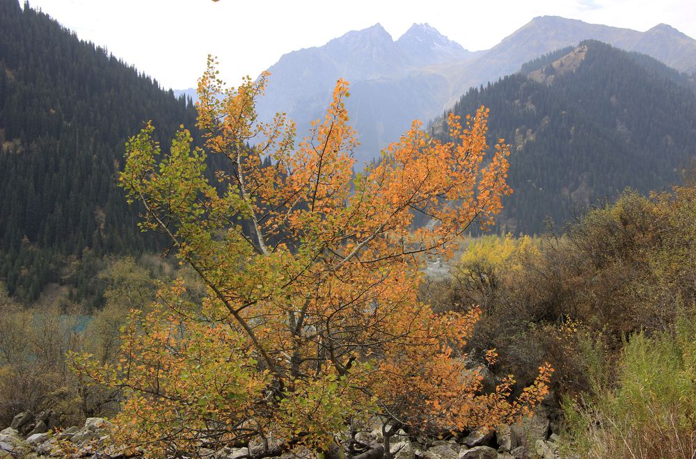 Photograph by Аля Портных