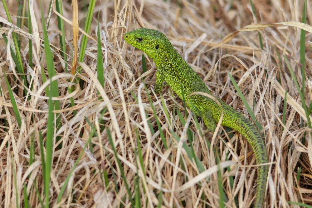 Photograph by Наталья Трифуз