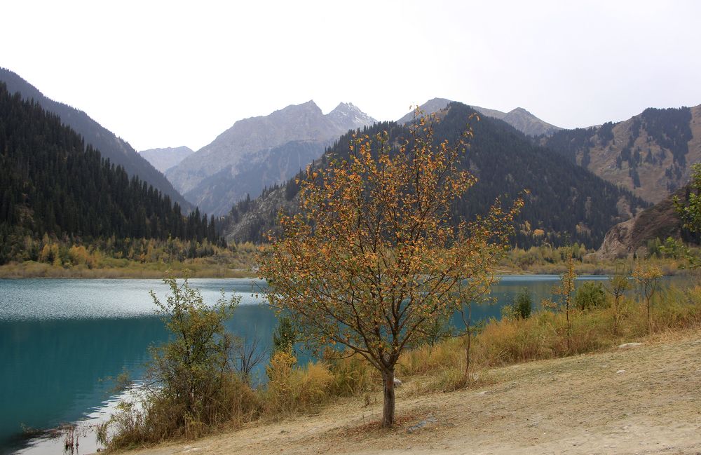 Photograph by Аля Портных