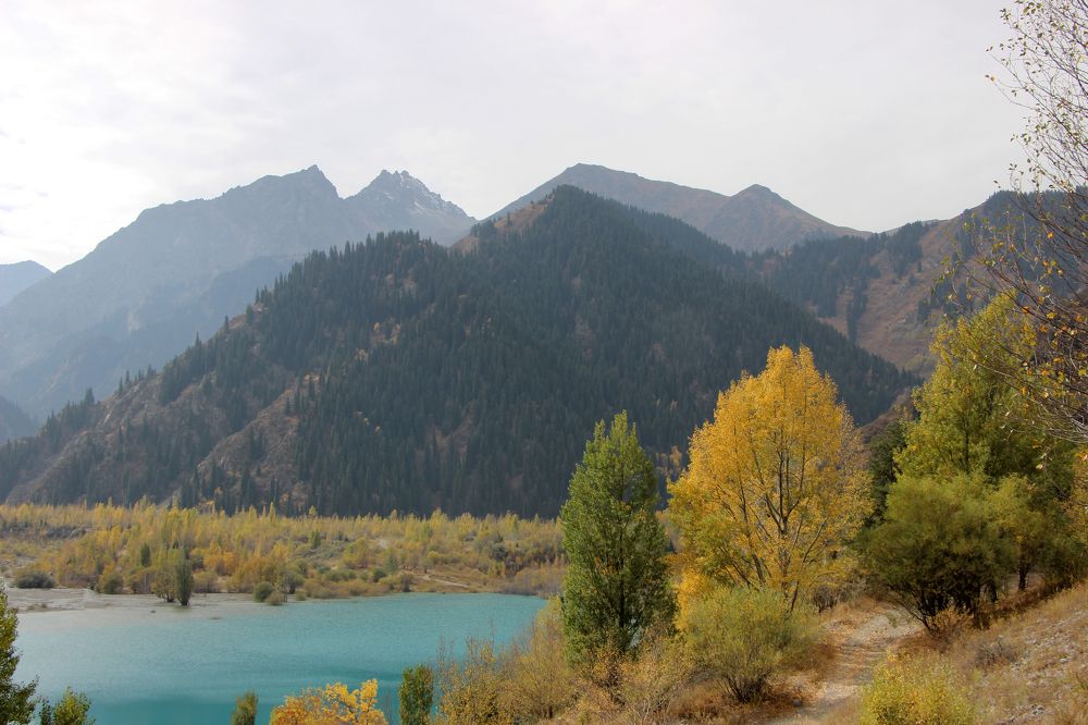 Photograph by Аля Портных