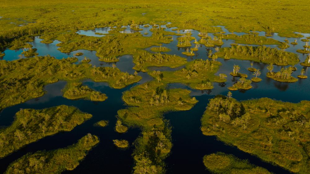 Photograph by Sebastian Bundschuh