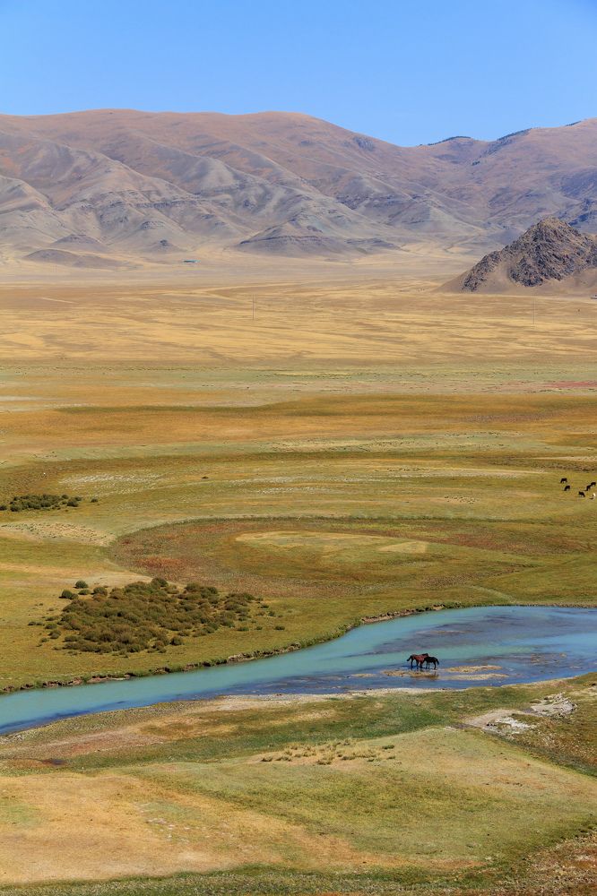 Фотография автора Василий Михайлин