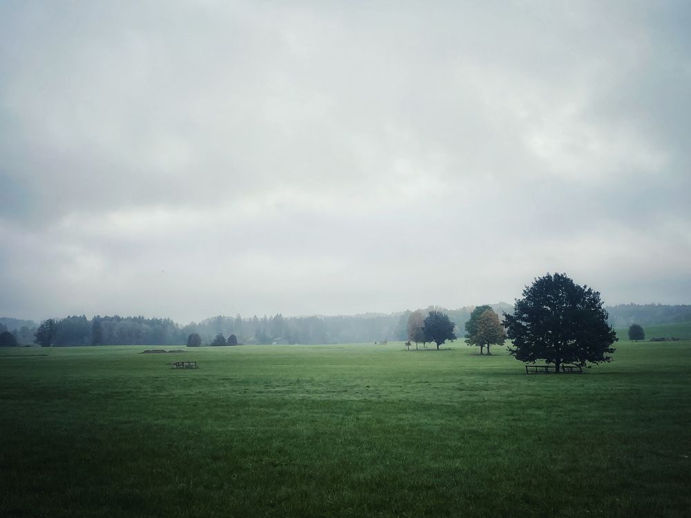 Photograph by Oxana Rovitskaya