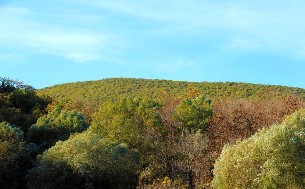 Photograph by Елена Титова