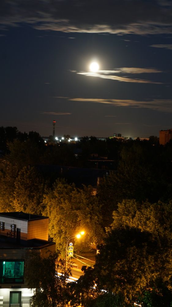 Photograph by Михаил Трусов