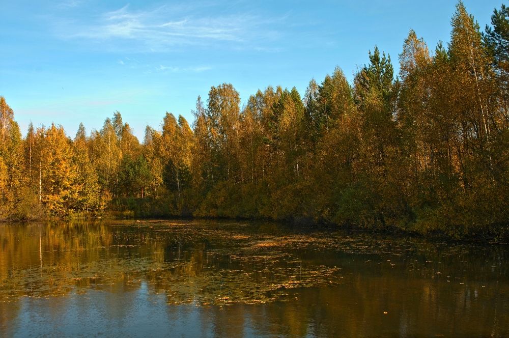 Photograph by Владимир