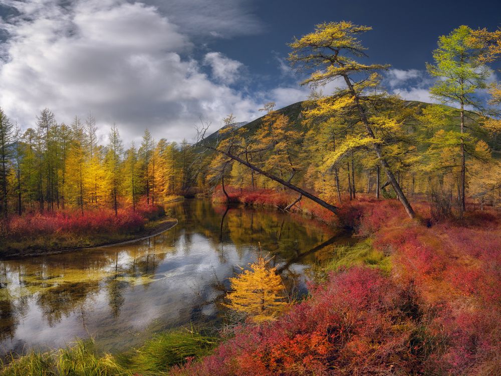 Photograph by Дмитрий Медянцев