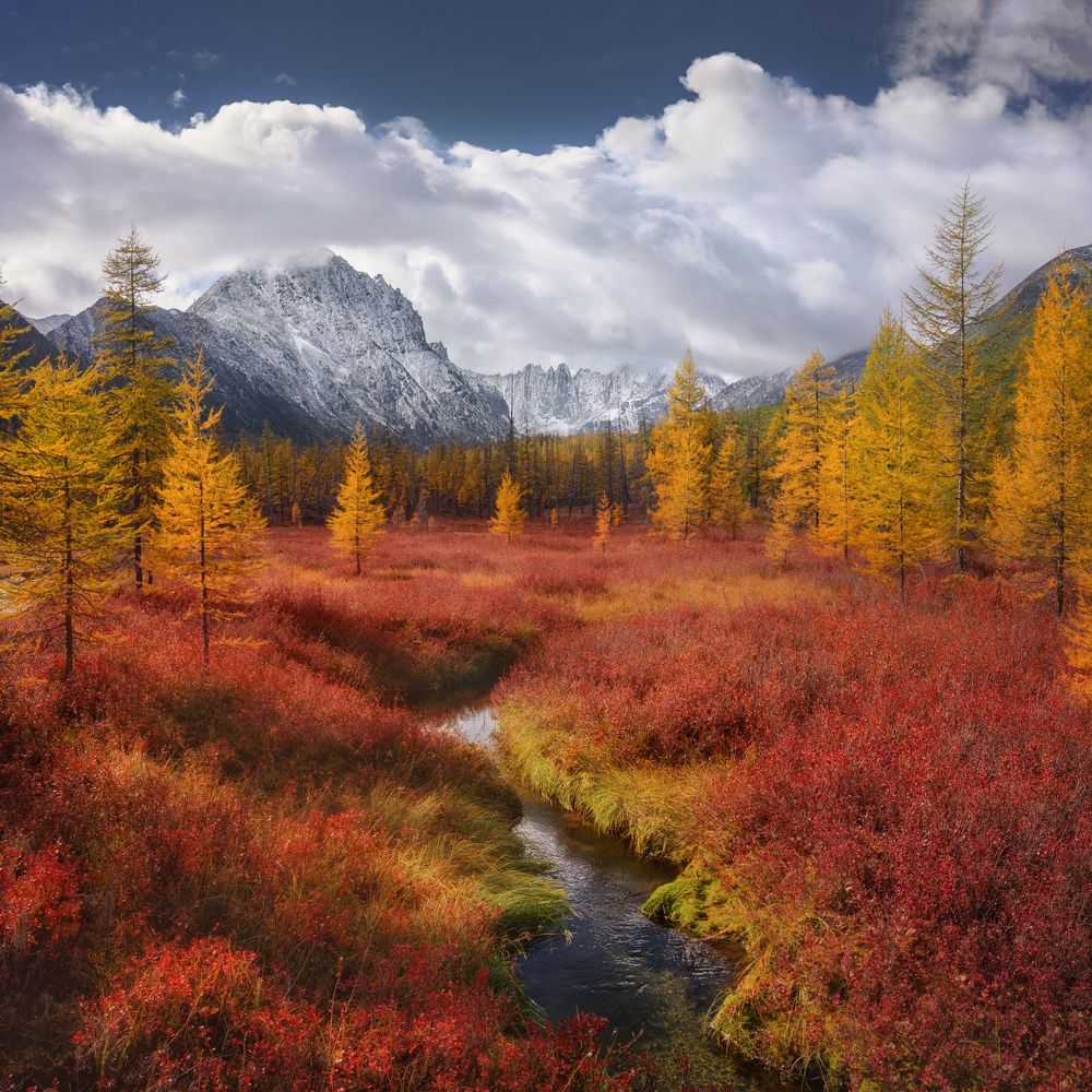 Photograph by Дмитрий Медянцев