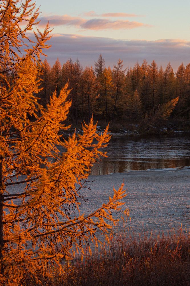 Photograph by Юлия Арестова