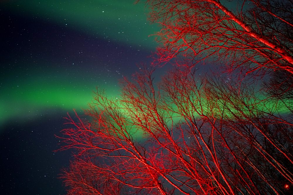 Photograph by Ирина Баландина