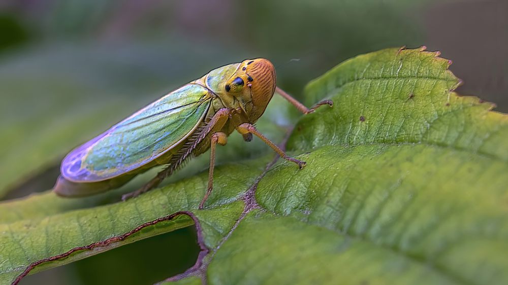 Photograph by Людмила Железнова