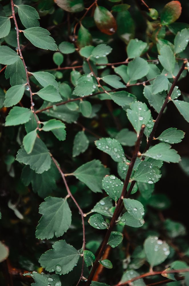 Photograph by Надежда Раскина