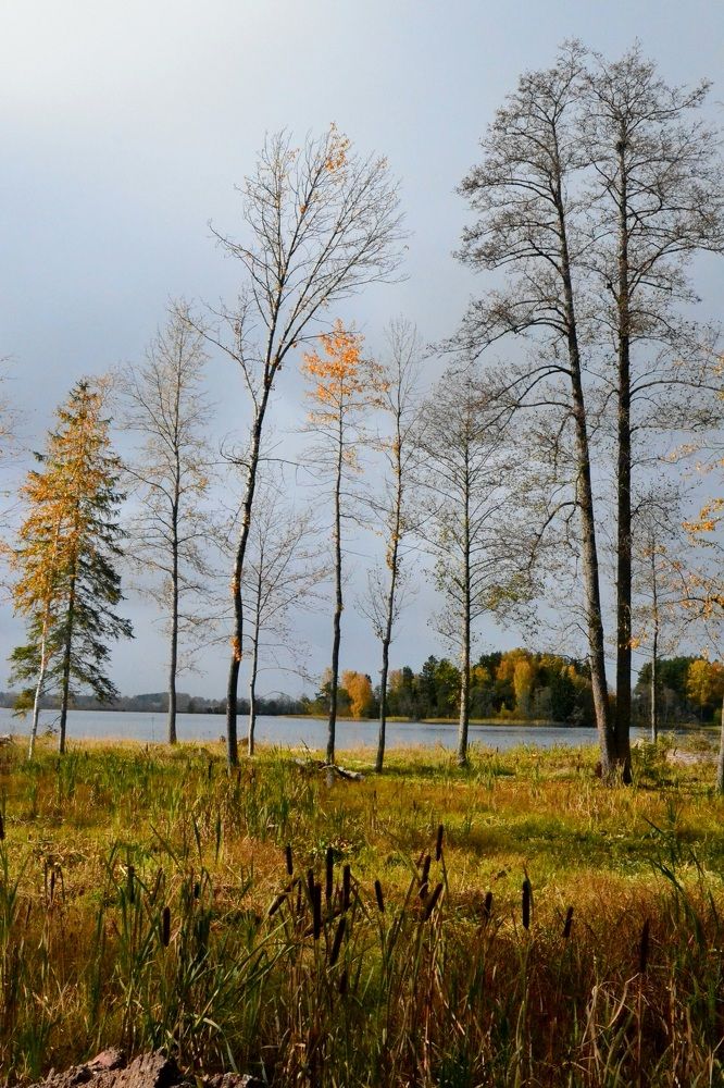 Photograph by Ольга Новоселова