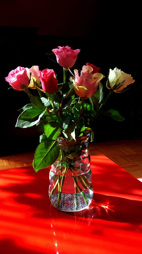 Photograph by Jasna Dragun