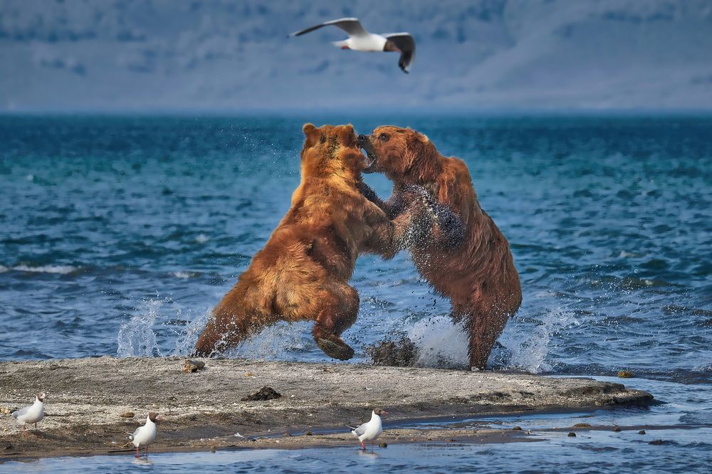 Место под солнцем!