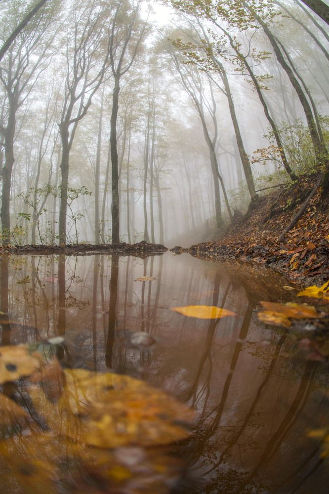 Photograph by София Носкова