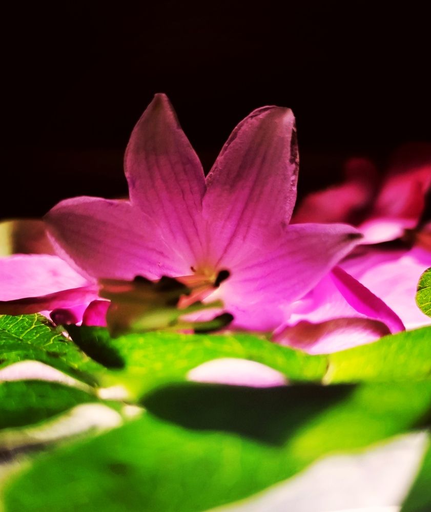 Photograph by Ирина Садовникова